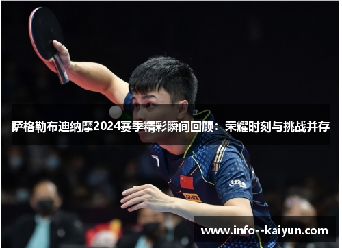 萨格勒布迪纳摩2024赛季精彩瞬间回顾:荣耀时刻与挑战并存 萨格勒布迪纳摩2024赛季精彩瞬间回顾:荣耀时刻与挑战并存