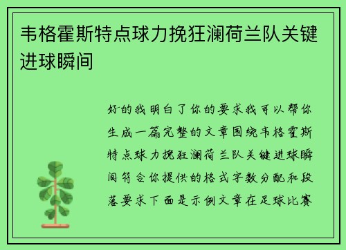 韦格霍斯特点球力挽狂澜荷兰队关键进球瞬间